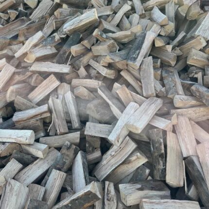 Beech